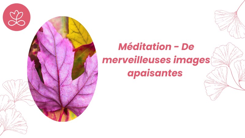 4. Méditation - De merveilleuses images apaisantes avec Michelle Maillard